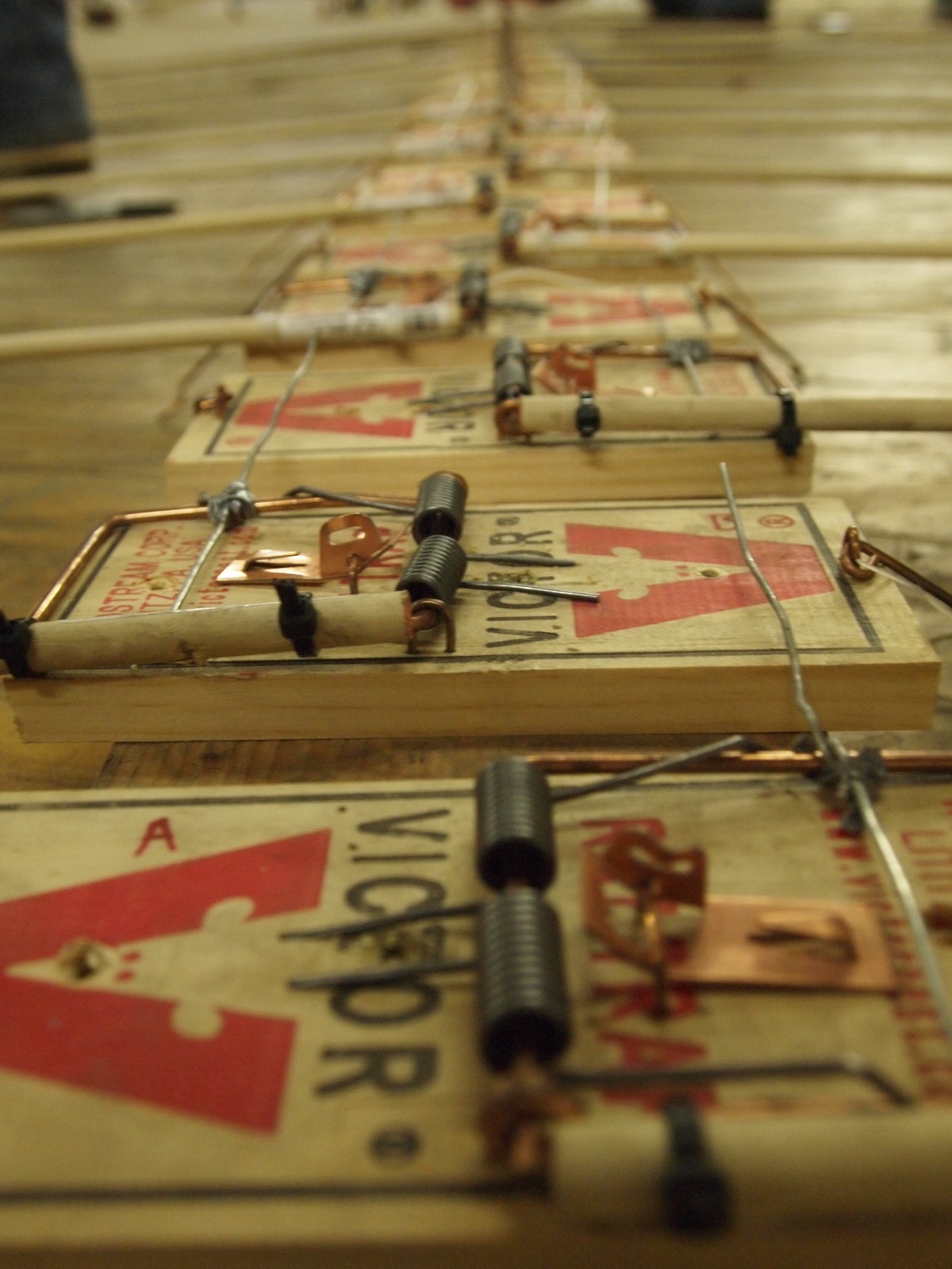Rows of mousetraps lined up on a wood floor